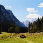 Hübsches Almgelände Hübsches Almgelände