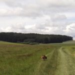 Auf Bayerns Fluren und Hainen (frei nach Smetana) Auf Bayerns Fluren und Hainen (frei nach Smetana)