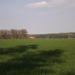 Schatten vor Reuting