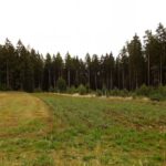 Abschied vom Grenzsteig