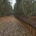 Einer von vielen Entwässerungsgräben des ursprünglich sumpfigen Gebiets Einer von vielen Entwässerungsgräben des ursprünglich sumpfigen Gebiets