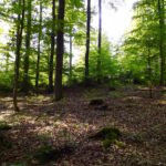 Unterer Eibenstein. Der höchste Punkt ist ganz links Unterer Eibenstein. Der höchste Punkt ist ganz links