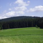 Čupřina / Schopfberg