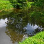 Spiegelung in einem ruhigeren Flussabschnitt Spiegelung in einem ruhigeren Flussabschnitt