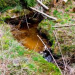 Ist das eine Quelle? Auflösung folgt Ist das eine Quelle? Auflösung folgt