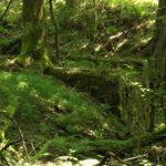 Da ist sogar mal ein Stückerl Mauereck stehengeblieben