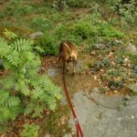 Karlies erster Landkreishöhepunkt