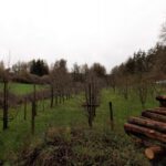 Gottfrieds Obstgarten