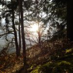 Manchmal kommt das Sonnenlicht von unten