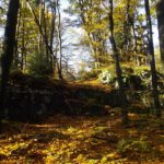 Riegel im Naturschutzgebiet