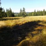 Wäre ein schöner Schachten