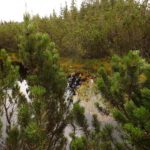 Eingeschränkte Sicht auf den dritten See