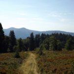 Rachelblick auf dem Weg zum Aussichtspunkt