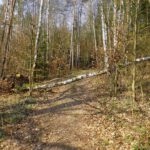 Nicht die letzte Wegsperre