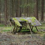 Von der Natur halb zurückerobert