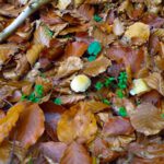 Warm gebettet Warm gebettet