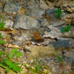 Ok, nicht alles war negativ Ok, nicht alles war negativ