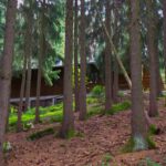 Waldfriedenhütte Waldfriedenhütte