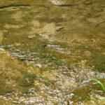 Plätschergraben Plätschergraben