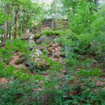 Der "Gipfel" (eigentlich nur der höchste Fels dieser Kuppe)