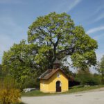 Dorflinde Eckartsreuth mit Kapelle