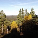 Herbststimmung am Burgberg