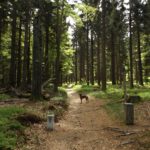 Soll ich jetzt in Bayern oder Böhmen weiterlaufen?