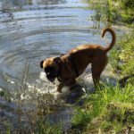 Karlie erfrischt sich