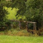 Steglein über die Weiße Laber