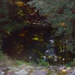 Lichtspiel im Hirschbach