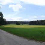 Schnaittenbacher Auwiesen