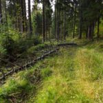 Größeres Hindernis