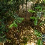 Kleiner Steilabbruch Kleiner Steilabbruch