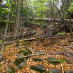 Früher ging es hier zum Aussichtspunkt Früher ging es hier zum Aussichtspunkt