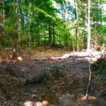 Anti-Werbung Anti-Werbung