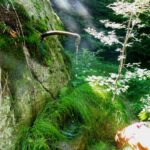 Heute ist der Brunnen eisfrei und von Sonnenstrahlen umspielt