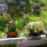 Blumengarten der Blaueishütte