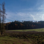 Hier kommt der Geißbach runter