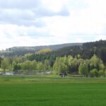 Teichanlage muss sein, wir sind schließlich in der Oberpfalz Teichanlage muss sein, wir sind schließlich in der Oberpfalz