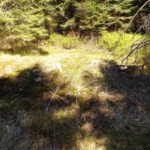 Der wohl höchste Punkt des Šmauzy Der wohl höchste Punkt des Šmauzy