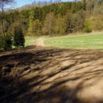 Hier sind sogar die Harvesterspuren ausgetrocknet Hier sind sogar die Harvesterspuren ausgetrocknet