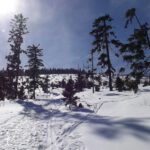 Im sonnig-verschneiten Nordhang des Kleinen Arber