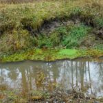 Hochwasserschaden Hochwasserschaden