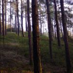 Geländeunebenheiten