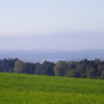 Aussicht zum Murner See