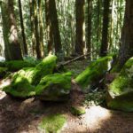 Übungsobjekte für Obelix junior