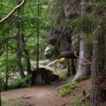 Hoffentlich hat der keinen Hunger... Hoffentlich hat der keinen Hunger...