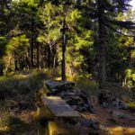 Gipfelkreuz und Rastplatz Schwarzriegel