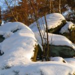 Symbiose aus Holz und Stein