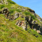 Farbspiele in und auf Fels